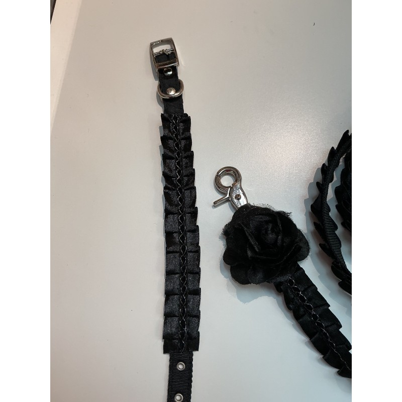 Collier laisse