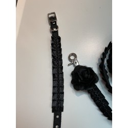 Collier laisse