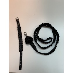Collier laisse